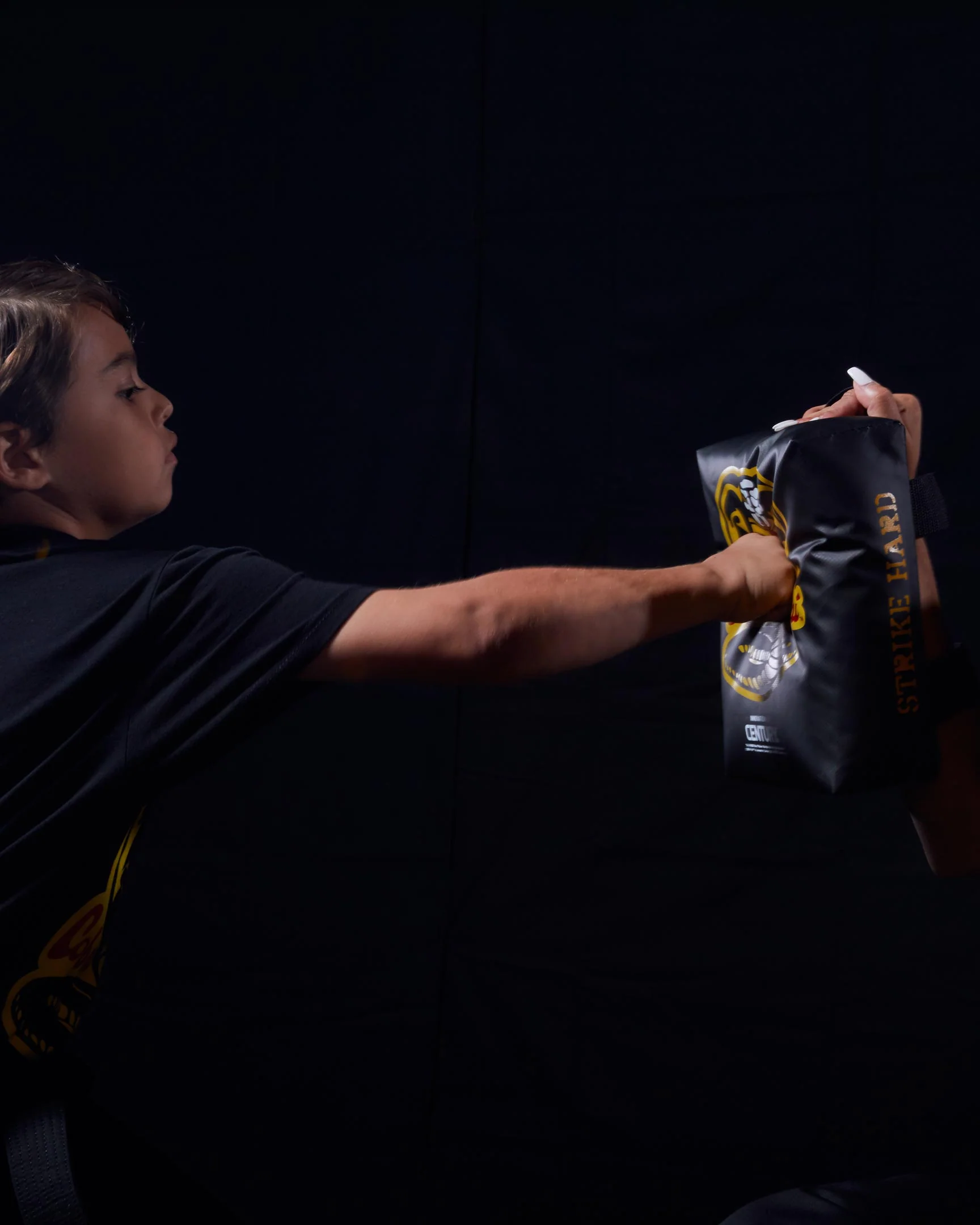 Cobra Kai Hand Target - Image 9